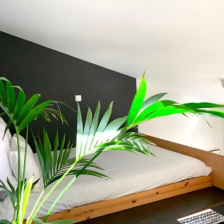 Fred's House Asprela Πανσιόν